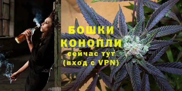 дурь Алзамай
